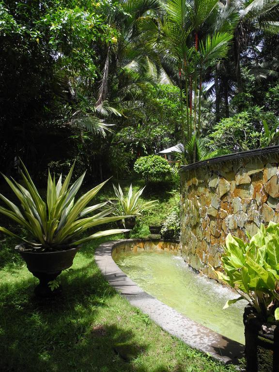 Villa Jineng Ubud By Basma Groups Buitenkant foto