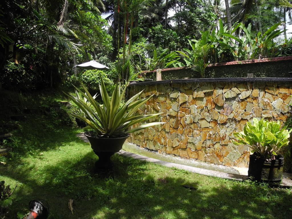 Villa Jineng Ubud By Basma Groups Buitenkant foto
