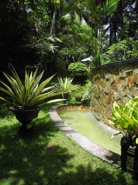 Villa Jineng Ubud By Basma Groups Buitenkant foto
